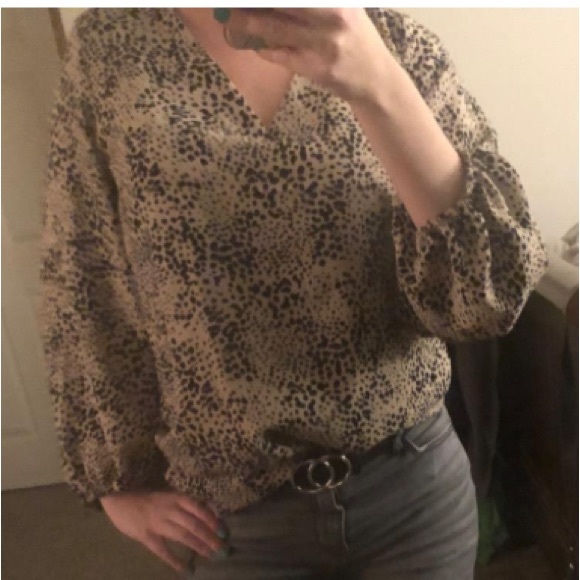 Casual Blouse. Animal print. Balloon sleeve V Neck - Picture 4 of 5